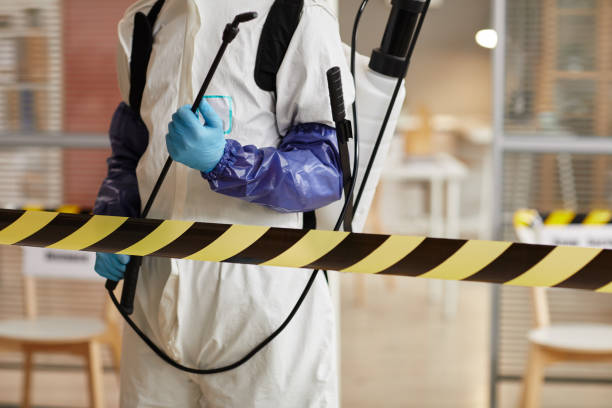 Professional Sewage Cleanup technician working in Carleton, NE